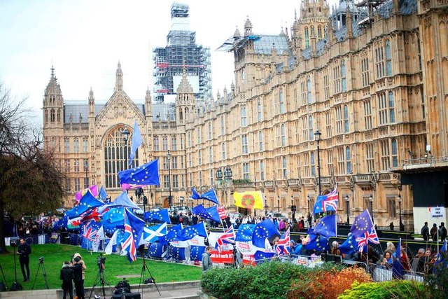 Brexit-Gegner stehen vor dem Parlamentsgebude in London.   | Foto: dpa