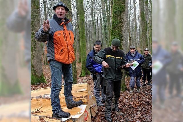 Die nchste Holzauktion ist in Mappach