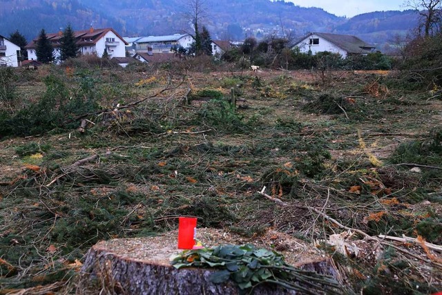 Nach der Baumfllung im Brennet-Park a...nftige Nutzung des Areals diskutiert.  | Foto: Stefan Ammann