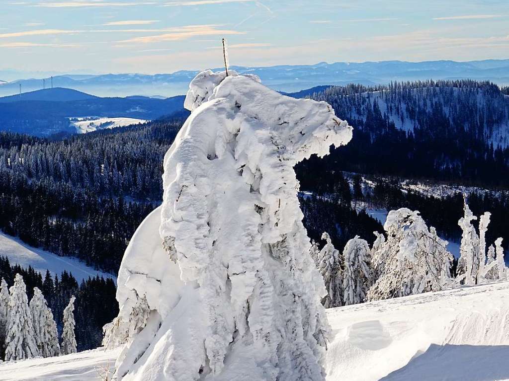 Winterspaziergang am Feldberg. <?ZL?>
