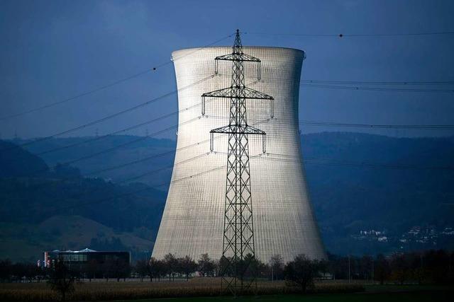 Aufsichtsbehörde: Schweizer Kernkraftwerke sind sicher