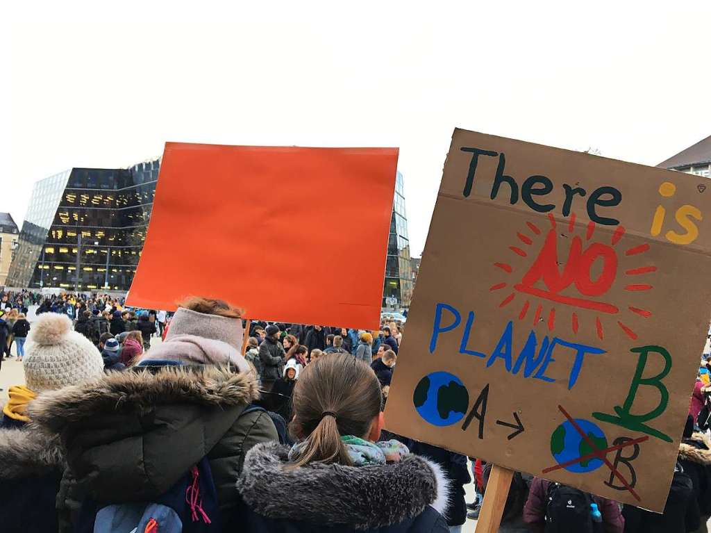 Schler demonstrieren in Freiburg gegen Klimapolitik