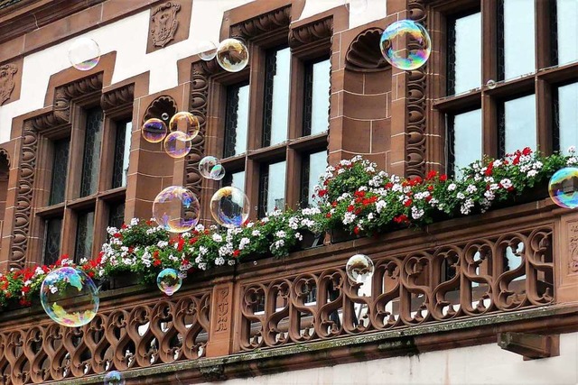Seifenblasen schweben am Freiburger Rathaus vorbei. | Foto: Heinz Ney Seifenblasen schweben am Freiburger Rathaus vorbei. | Foto: Heinz Ney