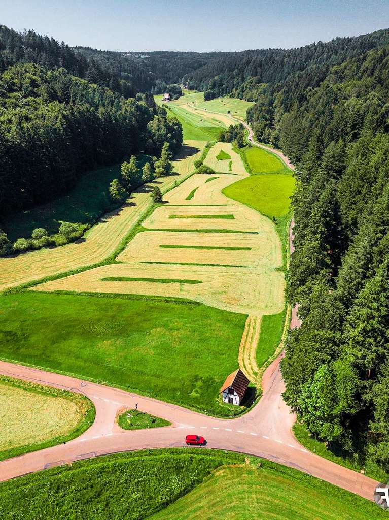 <BZ-FotoAnlauf>Motiv 9</BZ-FotoAnlauf> (Juni): Tennenbacher Tal aus der Luft