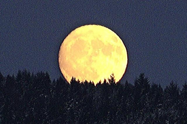 Arbeitskreis Kultur uff'm Wald und Aktiver Hotzenwald organisieren am Sonntag, 20. Januar, Vollmondwanderung in Grwihl