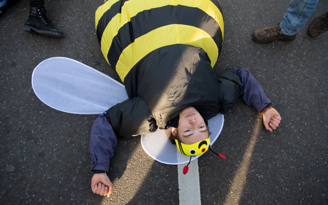 Das Bndnis &#8222;Wir haben es satt&#...ufen hatte, zhlte  35000 Teilnehmer.   | Foto:  dpa