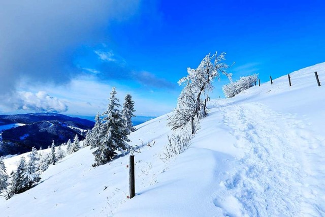 Winterwunderland am Belchen.  | Foto: Thea Pflger