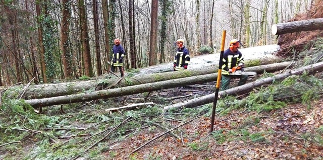 Umgestrzte Bume an der L135 haben di...tief Burglind bers Land gefegt war.    | Foto: Walter Bachmann/ZVG