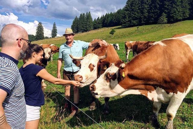 So kommt Rindfleisch aus dem Südschwarzwald zur Stadtbevölkerung