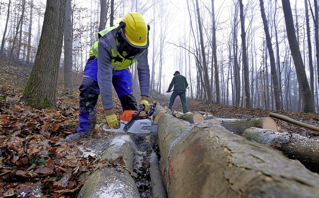 460 Festmeter Holz sollen in Merzhausen geschlagen werden.  | Foto: Gollrad