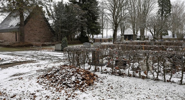 Das Laub liegt noch, sonst ist um dies...iter der Bau- und Gartenbetriebe Lahr.  | Foto: christoph breithaupt