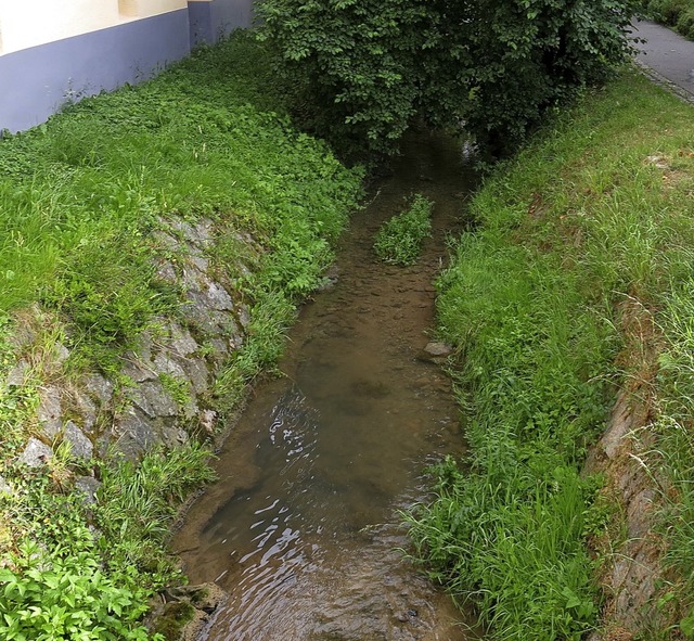 Beengte Verhltnisse am Weibach mache..., 31. Januar, diskutiert werden kann.   | Foto: Georg Voss