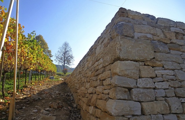 Oberhalb von Britzingen entstanden in ...ten kologisch wertvolle Trockenmauern  | Foto: R. Wermuth