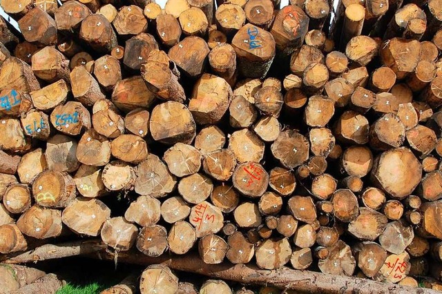 Rohstoff fr die Holzwerke Dold in Buchenbach   | Foto: Scherfling