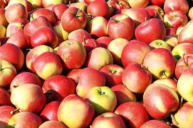 Was macht einen guten Apfel aus?