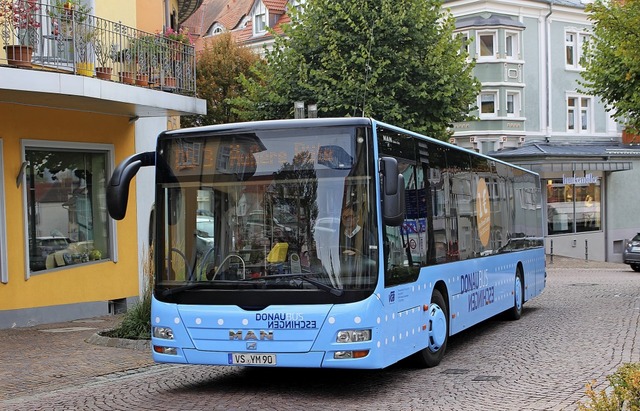 Die Fahrgastzahlen fr den Donaubus gehen deutlich zurck.   | Foto: Guy Simon