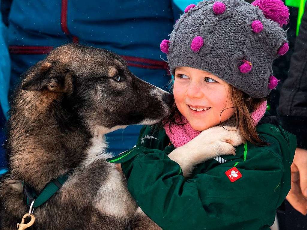 Das Schlittenhunderennen in Todtmoos hat zahlreiche Besucher angezogen. <?ZL?>
