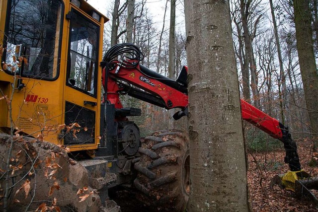 Unbekannte haben eine Forstmaschine be... von mehreren tausend Euro verursacht.  | Foto: Volker Mnch