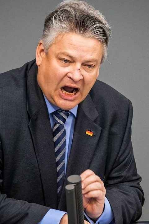 Thomas Seitz, AfD-Bundestagsabgeordneter aus dem Wahlkreis Emmendingen-Lahr   | Foto: dpa