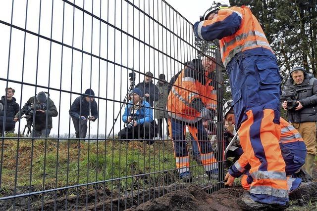 Dänen bauen Grenzzaun zu Deutschland