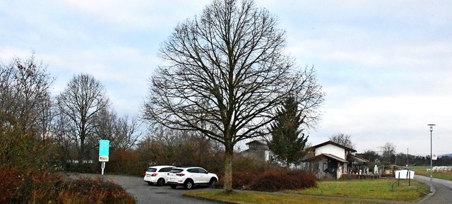 Wo sich heute der Parkplatz fr den Wa...et, soll knftig ein Wohnhaus stehen.   | Foto: Andrea Steinhart