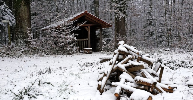 Der Stadtwald ist Erholungsraum und ni...in erster Linie Quelle fr Holzerlse.  | Foto: Gerhard Walser