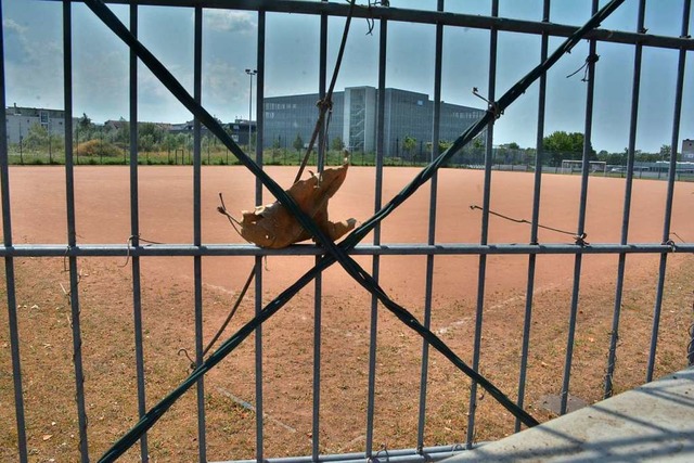 Der eher unwirtliche Hartplatz in Frie..., die zuvor umgesiedelt werden mssen.  | Foto: Hannes Lauber