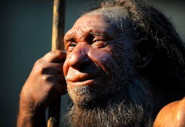 Nachbildung eines Neandertalers im Neanderthal-Museum in Mettmann.  | Foto: Federico Gambarini