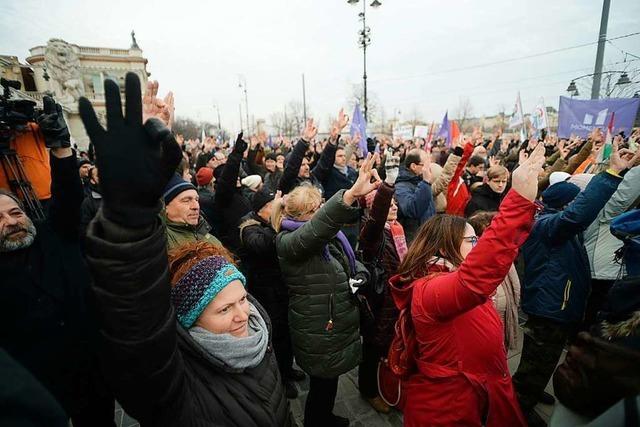 Auf die Strae gegen Viktor Orban