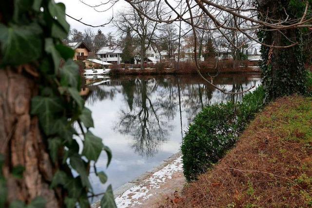 Am Staufener Stadtsee soll ein Abenteuerspielplatz gebaut werden