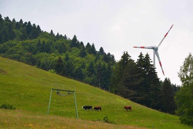 Windkraftgegner im Kleinen Wiesental fhlen sich besttigt