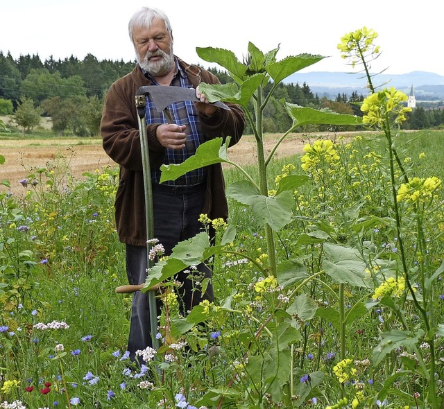 Der Hfinger Biotopbeauftragte Peter M...geln Rckzugs- und Brutmglichkeiten.   | Foto: Lendle