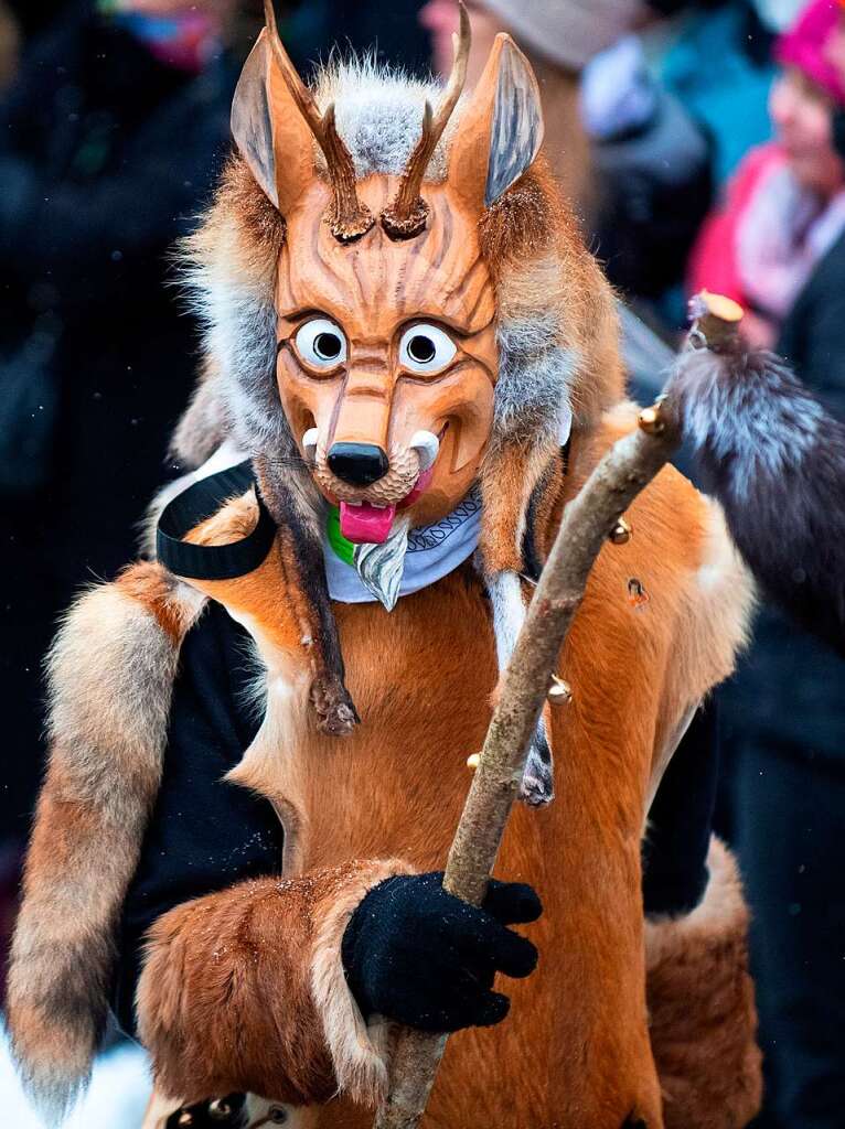 Jubilumsumzug 150 Jahre Fasnet in Lenzkirch