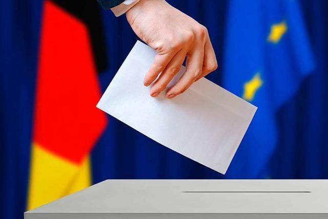 Das sind die deutschen Spitzenkandidaten fr die Europawahl