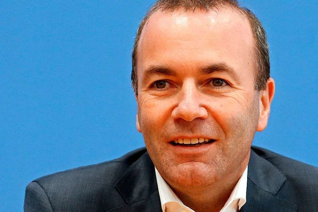 Manfred Weber, CSU  | Foto: Wolfgang Kumm