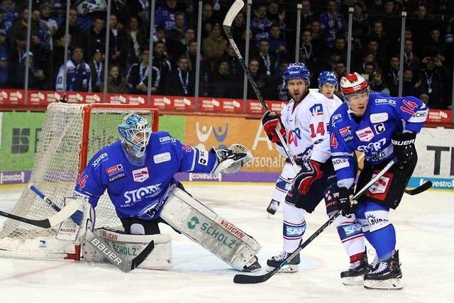 Wild Wings strzen zurck auf den letzten Platz