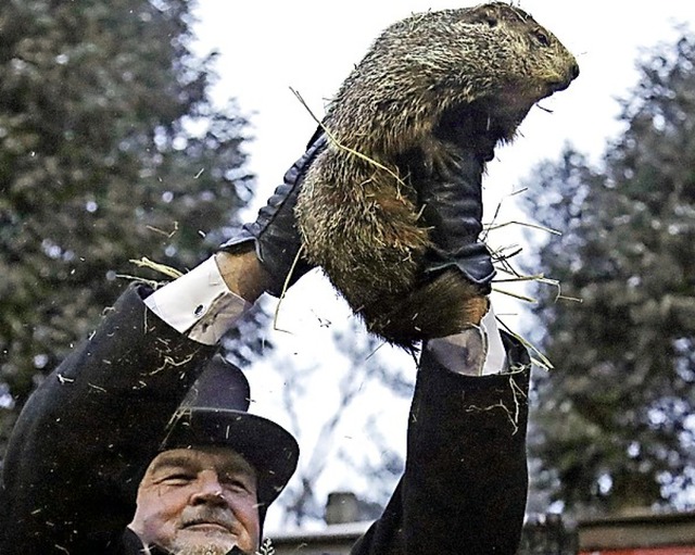 Das Murmeltier Phil  | Foto: dpa