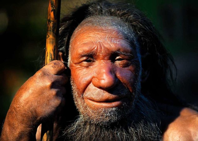 Nachbildung eines Neandertalers im Museum von Mettmann.   | Foto: dpa