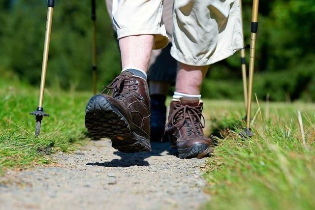 Nachwuchssorgen und beralterung: Lsen die Wanderfreunde ihren Verein auf?