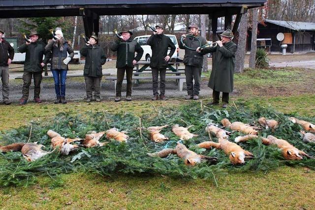 Jger zelebrieren erfolgreiche Fuchsjagd in Hartheim