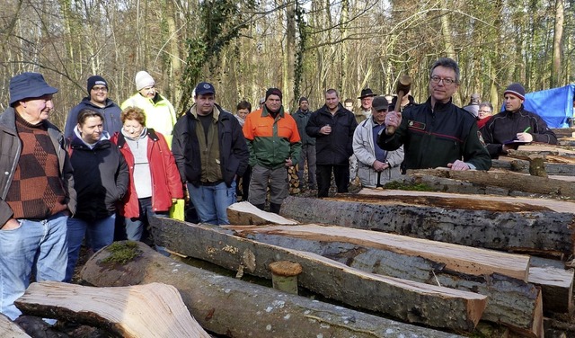 Bei der Holzversteigerung in Niederrim... Doppelster Laubholz unter den Hammer.  | Foto: Weirich