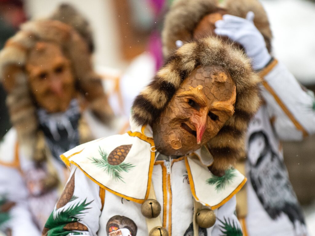 Jubilumsumzug 150 Jahre Fasnet in Lenzkirch