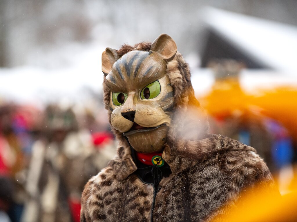 Jubilumsumzug 150 Jahre Fasnet in Lenzkirch