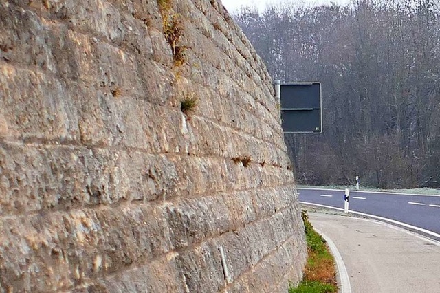 Der Fahrer fuhr beim Ausweichen gegen eine Mauer (Symbolbild).  | Foto: Victoria Langelott