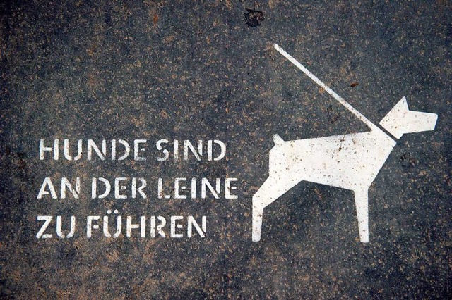 In Grenzach-Wyhlen besteht Leinenpflicht (Symbolbild).  | Foto: Daniel Naupold