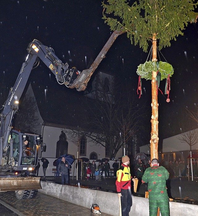 Der Narrenbaum steht und wird verankert.  | Foto: Roland Vitt