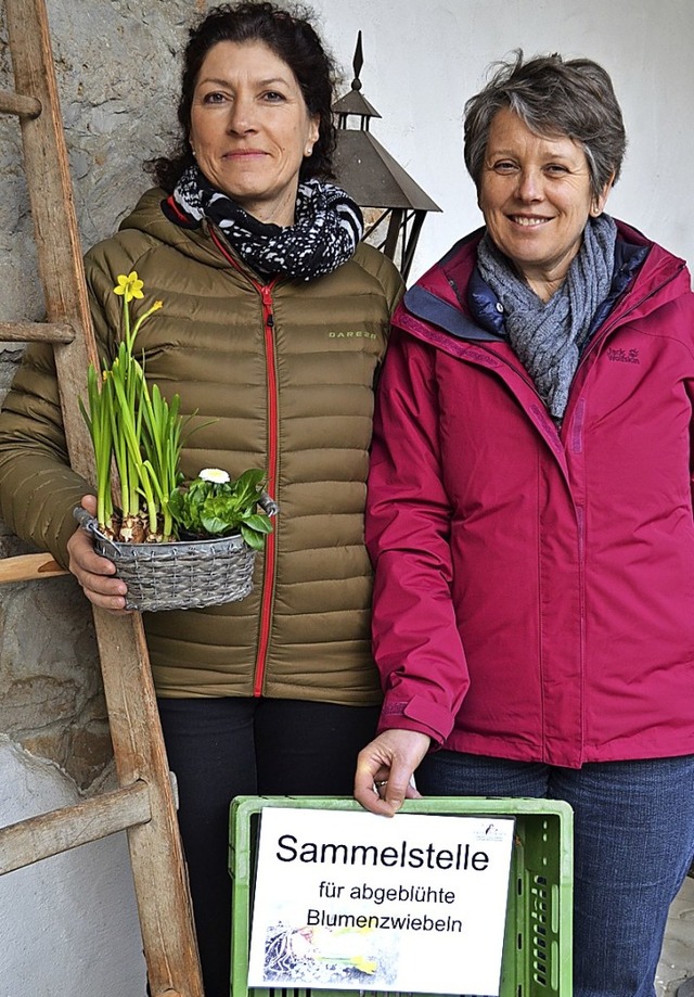 Agnes Barth (rechts) und Antonia Heckel sammeln Blumenzwiebeln.  | Foto: Vogt
