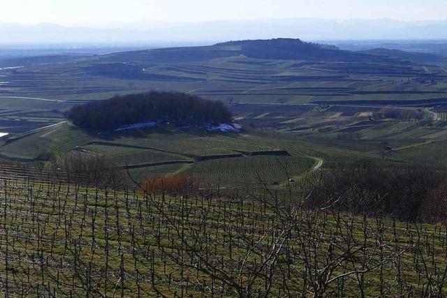 Am Sonntag sind bis zu 15 Grad Celsius am Kaiserstuhl mglich