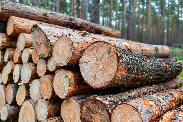 Der Freiburger Gemeinderat beauftragt eine Frderung fr Holzbau.  | Foto: dpa