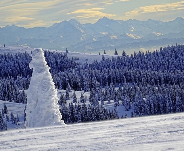 Der Hochschwarzwald im Schnee und Fern...#8211; so schn kann der Winter sein.   | Foto: Paul G. Wiesenberg